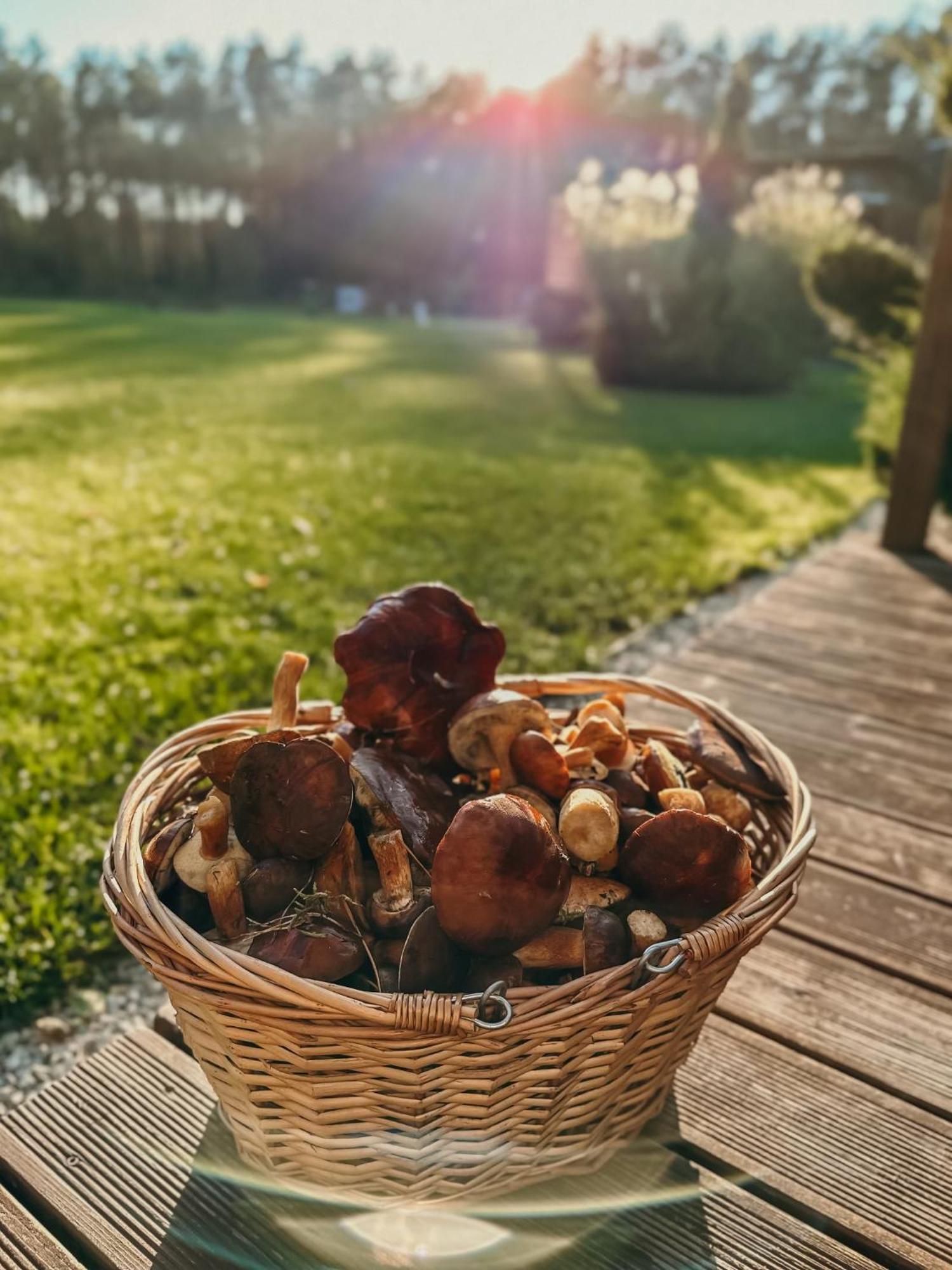 Agroturystyka Wena - Luksus W Naturze Zachodzko Exterior photo